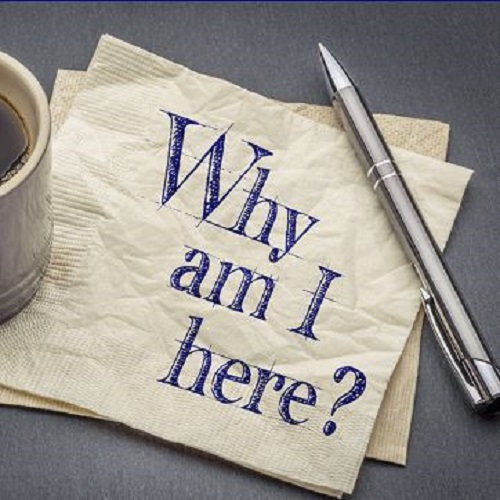 I AM HERE LLC
